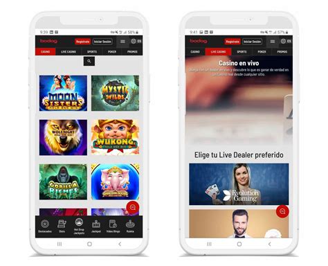 bodog app download  We will provide you with account creation guides and a Bodog app download